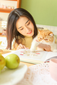 伦理影视在线观看
